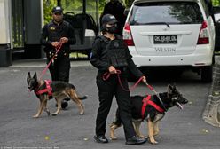 Złapany na Bali. Celnicy na lotnisku osłupieli, kontrolując podróżnego