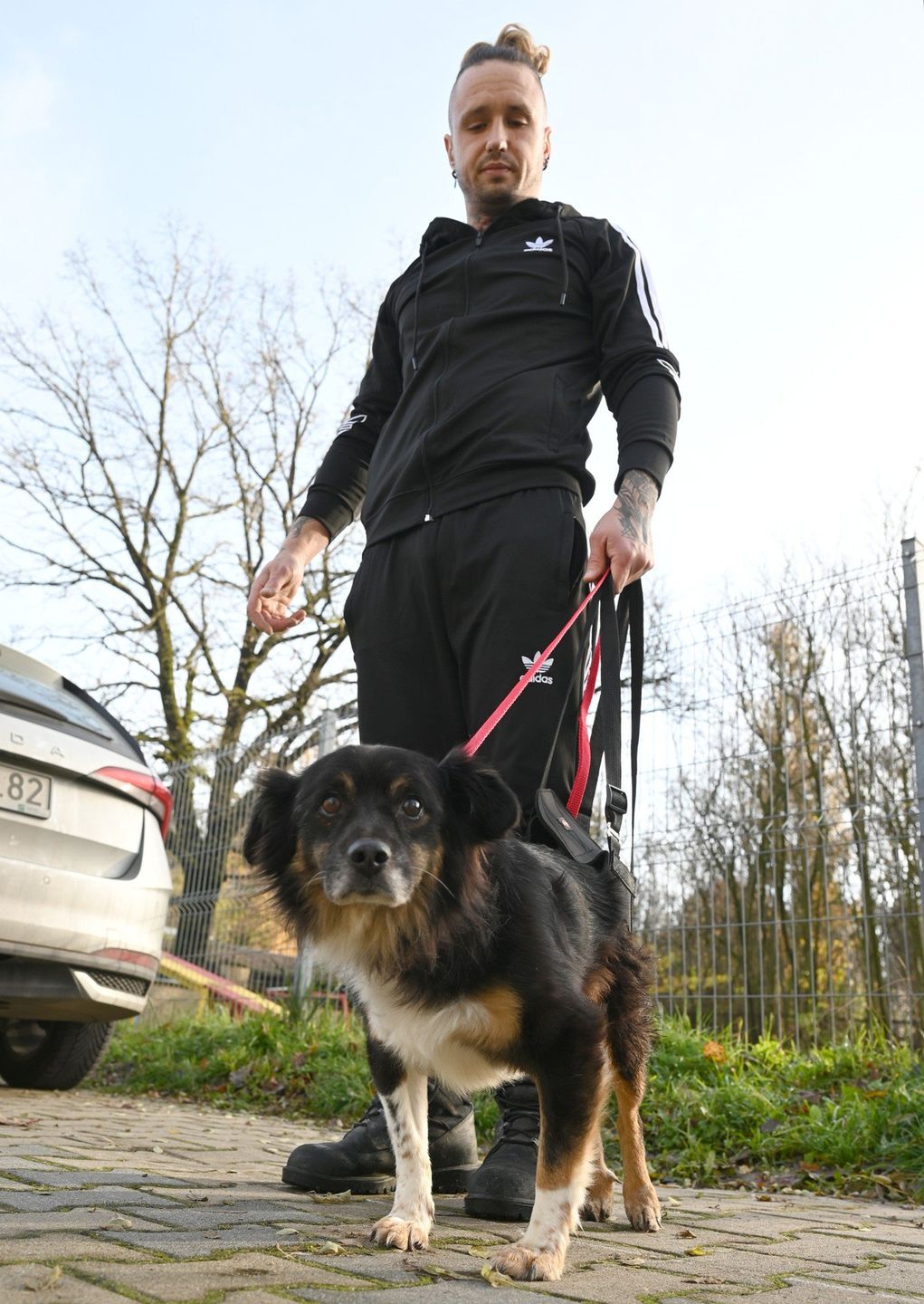 Pies regularnie jeździ na rehabilitację, gdzie robi duże postępy - stara się podnosić tyłek i przebierać łapkami. 