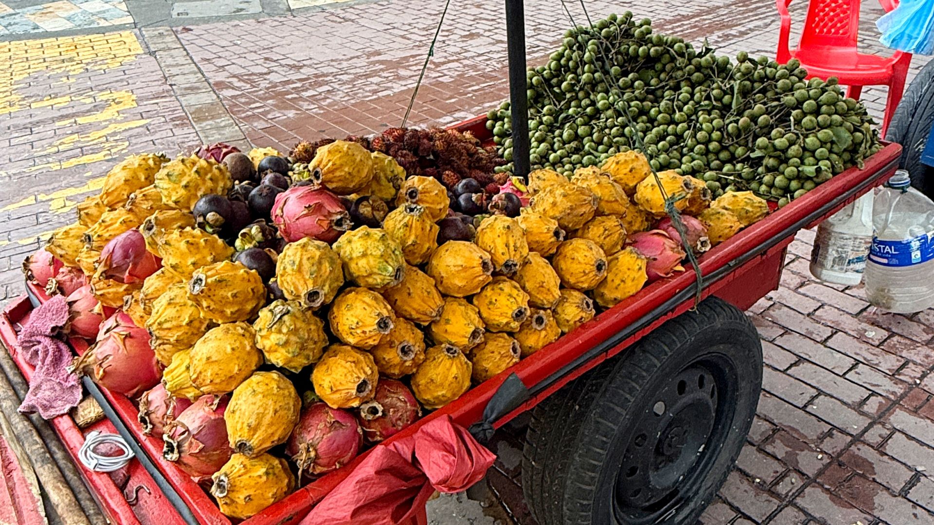 Pochodzenie produktów spożywczych ma realne znaczenie dla naszego zdrowia i środowiska.