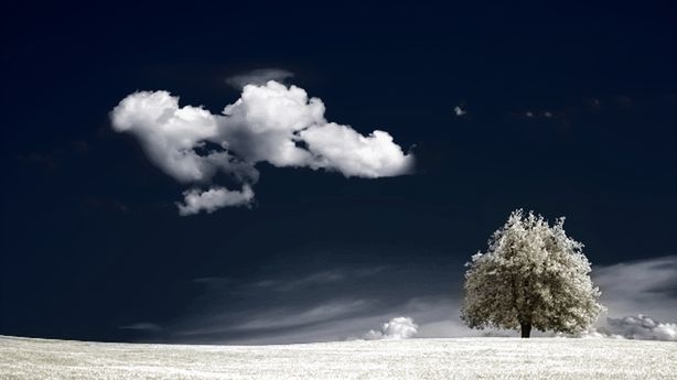 Efekt zdjęcia IR w Photoshopie [wideoporadnik] 1