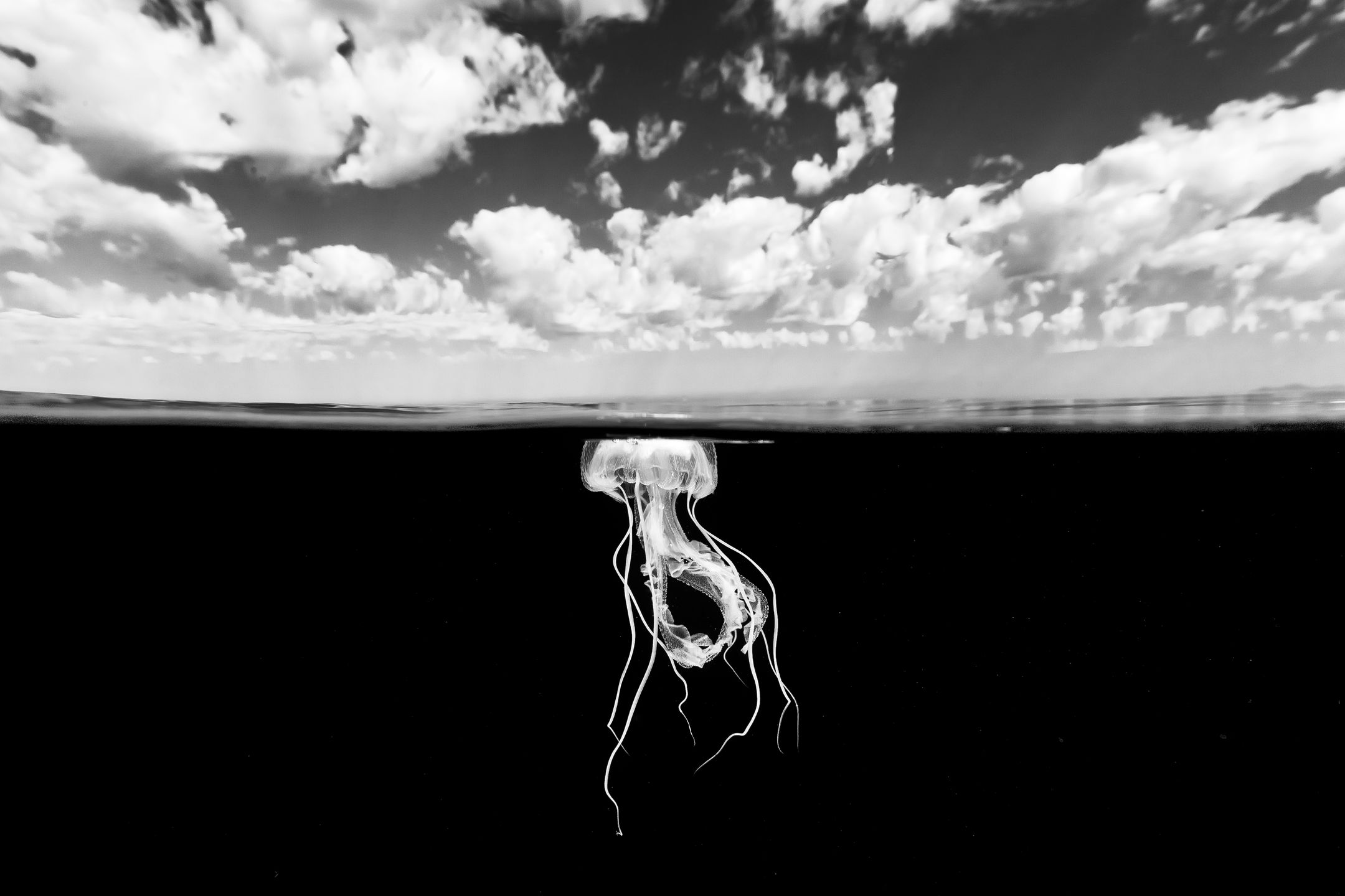 Christian Vizl: czarno-białe fotografie głębin oceanów 3
