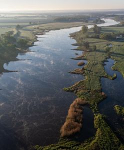 Hydrolog: Tego, że katastrofa na Odrze się powtórzy, możemy być niemal pewni