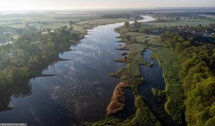 Hydrolog: Tego, że katastrofa na Odrze się powtórzy, możemy być niemal pewni