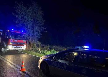 Zgorzelec: Śmiertelny wypadek. Renault dachowało, kierująca zginęła na miejscu, ranne 11-letnie dziecko
