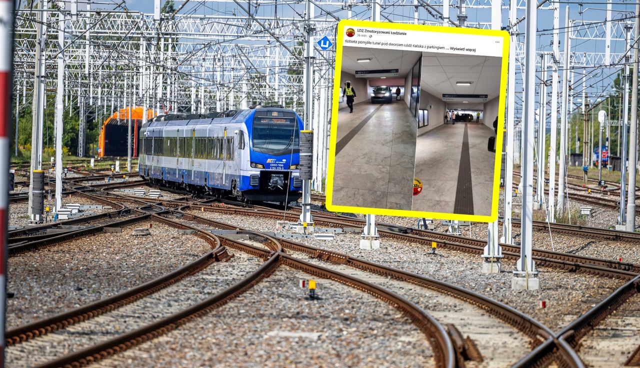 Niebywałe, gdzie wjechała. Sceny w Łodzi. Łapią się za głowy