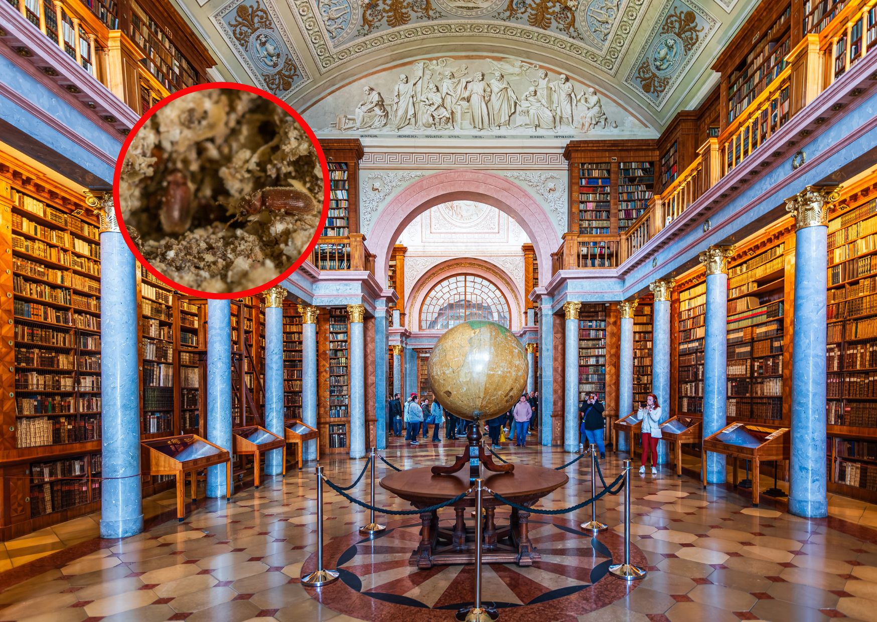 Chrząszcze zagrażają księgozbiorom w węgierskiej bibliotece 