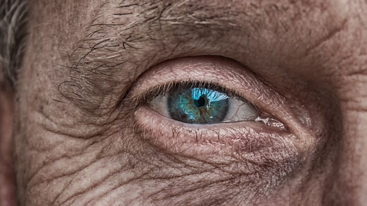 Niebieskoocy mają jednego przodka