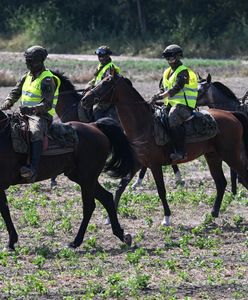Zagadki nie rozwiązano. Wojsko przerywa poszukiwania