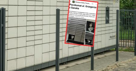 Niesie się zdjęcie z Gdańska. Kot w paczkomacie wywołał burzę
