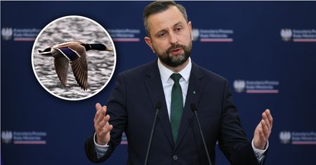 Spór o kaczki w rządzie. MON ostrzega przed skutkami zmian