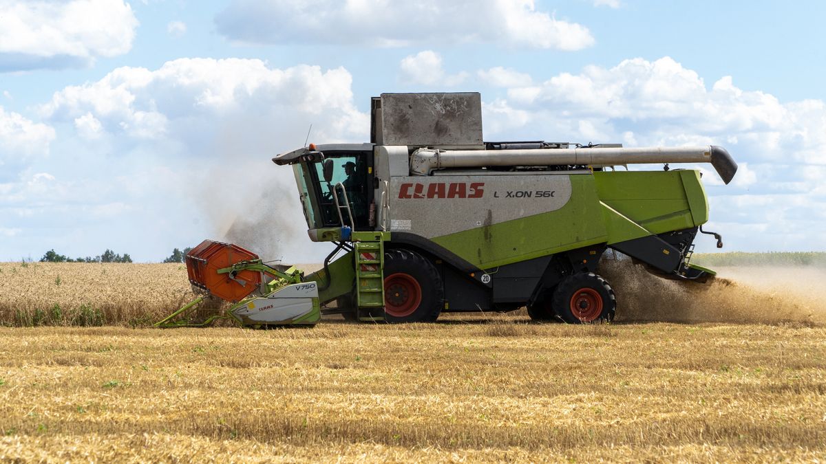 Zboże z Ukrainy zalało Polskę. Na zdjęciu zeszłoroczne żniwa w obwodzie charkowskim 