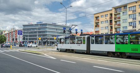Pogoda w Szczecinie. Prognoza na czwartek 22 stycznia. Mróz i dużo słońca