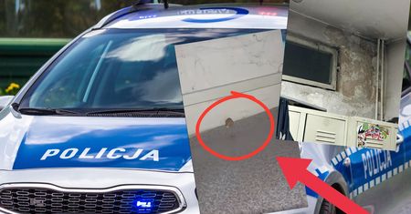 Pokazał pokój socjalny policji. "Co to za melina"?
