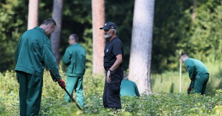 Nieprawidłowości w programie "Praca dla więźniów". Rusza śledztwo