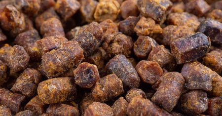 Naturalny antybiotyk. Chroni przed drobnoustrojami i zapobiega nowotworom