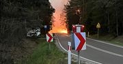 Tragedia podczas gaszenia pożaru. Spadł samolot, pilot nie żyje