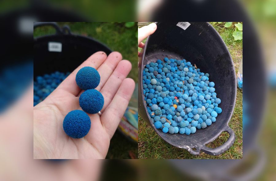Tajemnicze niebieskie kule na plażach