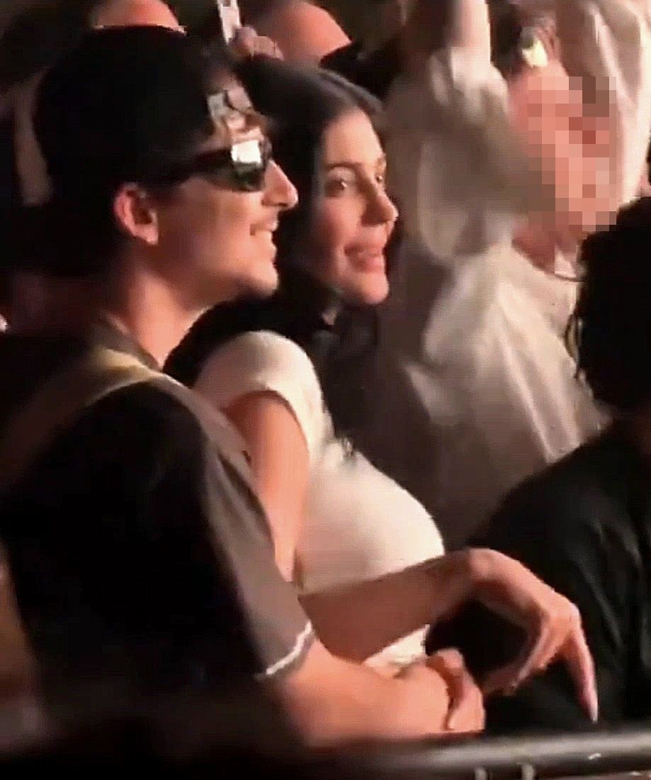 Kylie Jenner i Timothée Chalamet wtapiają się w tłum