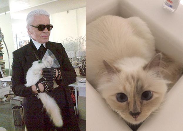 Lagerfeld: "Choupette zawsze będzie moją muzą"