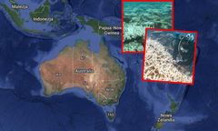 Rafa koralowa traci kolor. Widok "rozdziera serce"