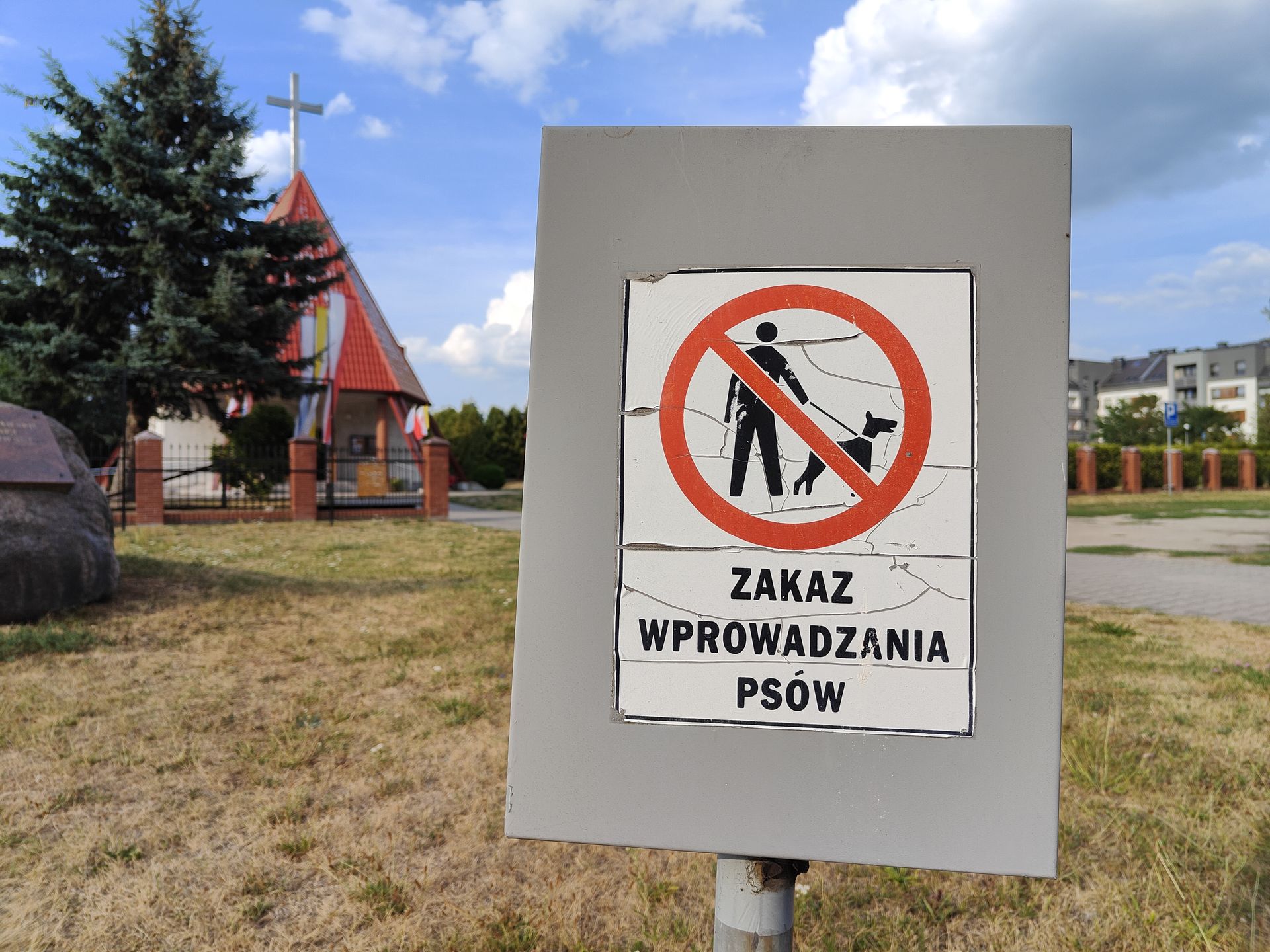 Zdjęcie zrobione OnePlusem 10T