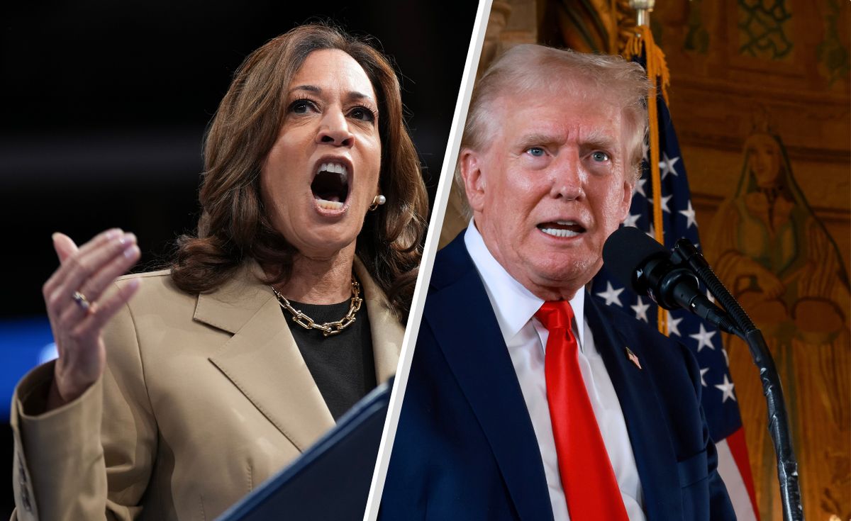 Donald Trump, Kamala Harris, wybory prezydenckie w usa Jest nowy sondaż. W USA mówią już o trendzie