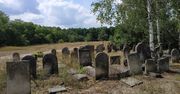 Tajemnice Kirkutu w Żarkach. "Można śmiało powiedzieć, że to sensacyjne odkrycie"