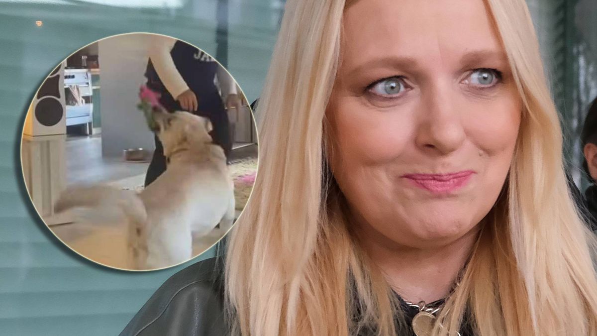 Katarzyna Nosowska, jak mieszka? (fot. KAPiF, Instagram)