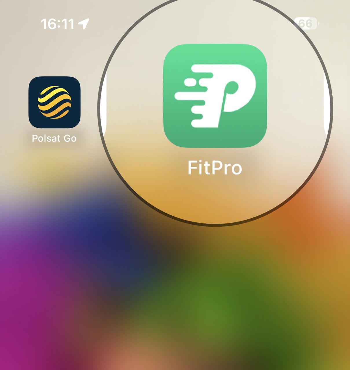 aplikacja fitpro