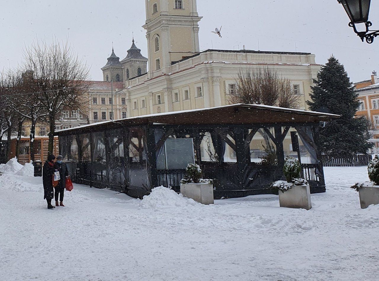 Ogródki wiedeńskie w Lesznie