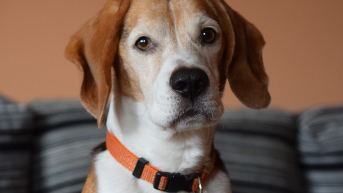 Niezwykłe odkrycie naukowcóe