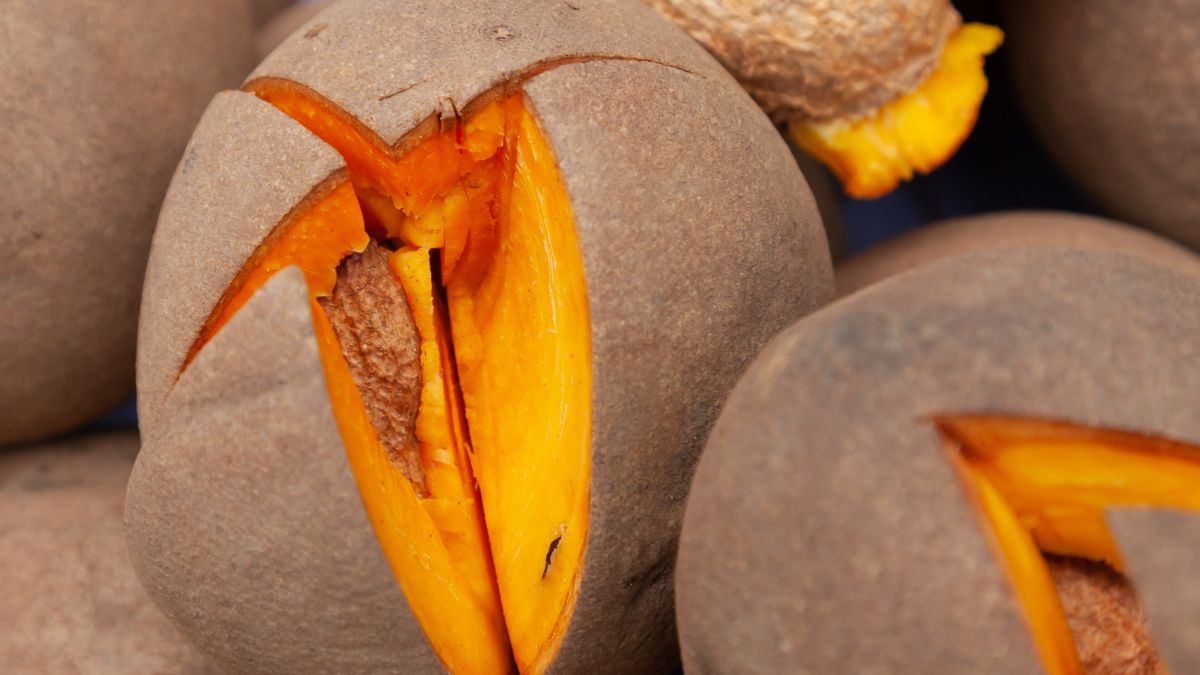 Mówią o nim "owoc bogów", ale w Polsce mało kto słyszał