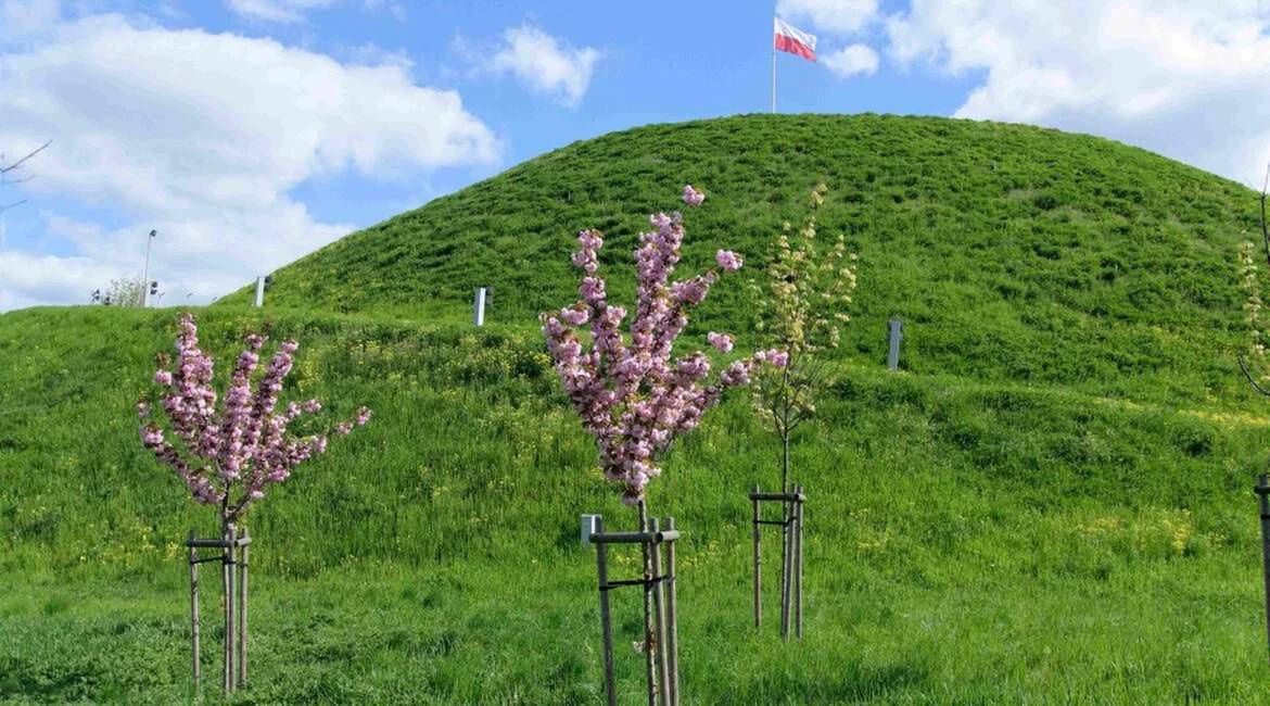 Kopiec Wolności