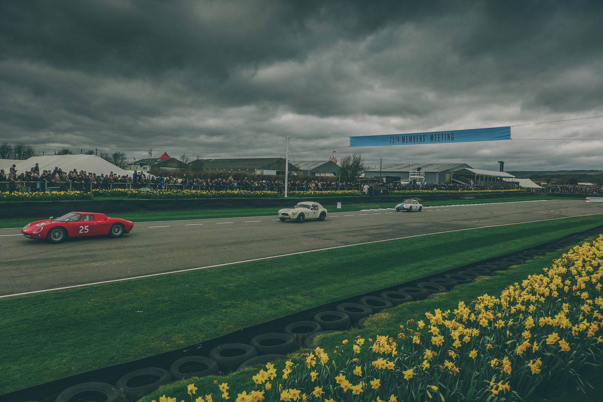Razem na torze w Goodwood: Ferrari 250LM, AC Cobra i Lotus Elan