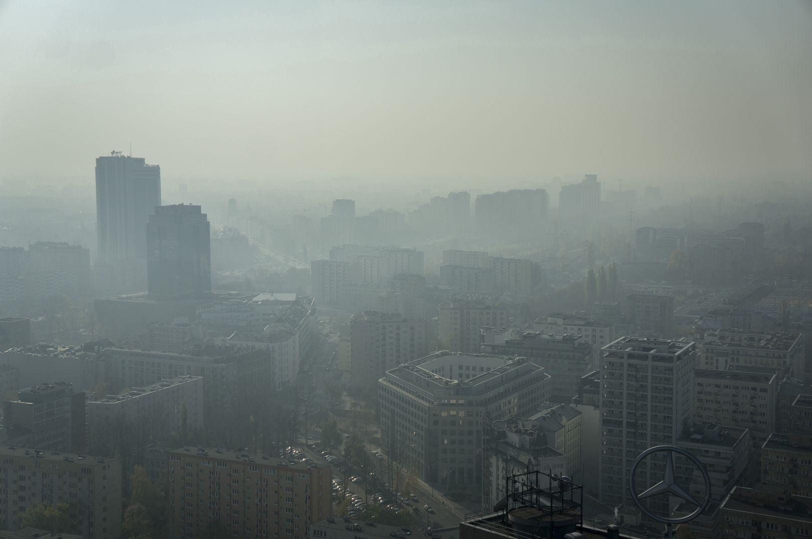 To zabija Polaków. Polska niechlubnym liderem