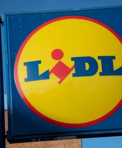 Nowy biznes właściciela Lidla. Niemcom marzy się prawdziwa flota