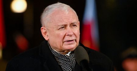 Te byłe gwiazdy TVP wciąż nie mają pracy. Znajdą zatrudnienie u Kaczyńskiego?