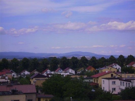 Obraz