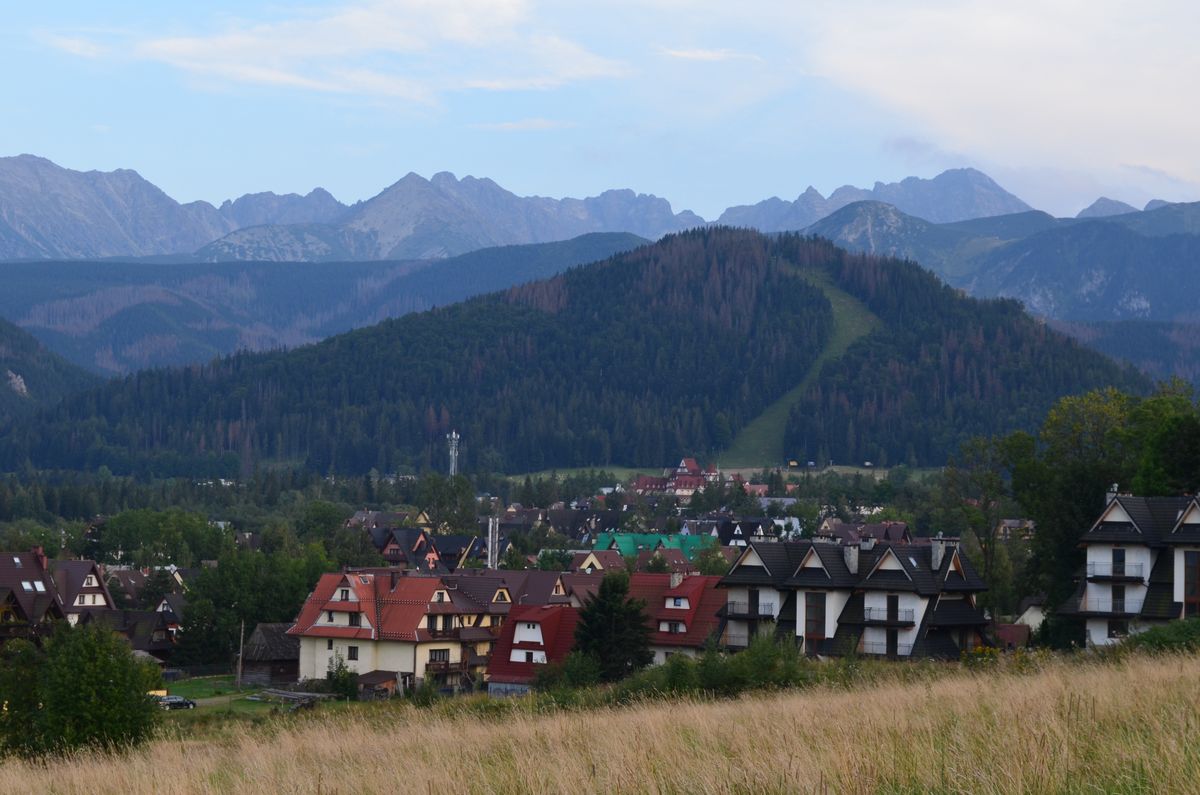 Widok z Antałówki na Tatry należy do najpiękniejszych w Zakopanem