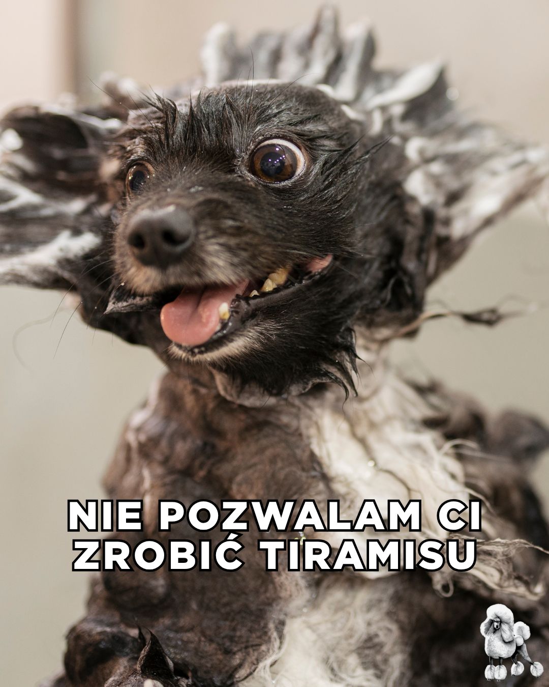Najlepsze TEKSTY z "Love is Blind"