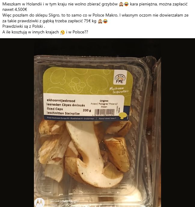 Pokazała, za ile sprzedają polskie prawdziwki w Holandii.