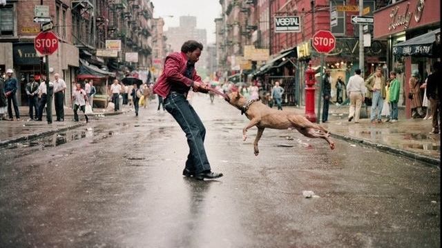 "Nowojorska ulica w obiektywie" i na ekranie kina Iluzjon 1