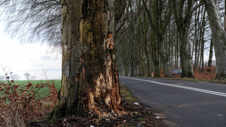 Białogrądy. Śmiertelny wypadek na DK 65. Bus wjechał w drzewo
