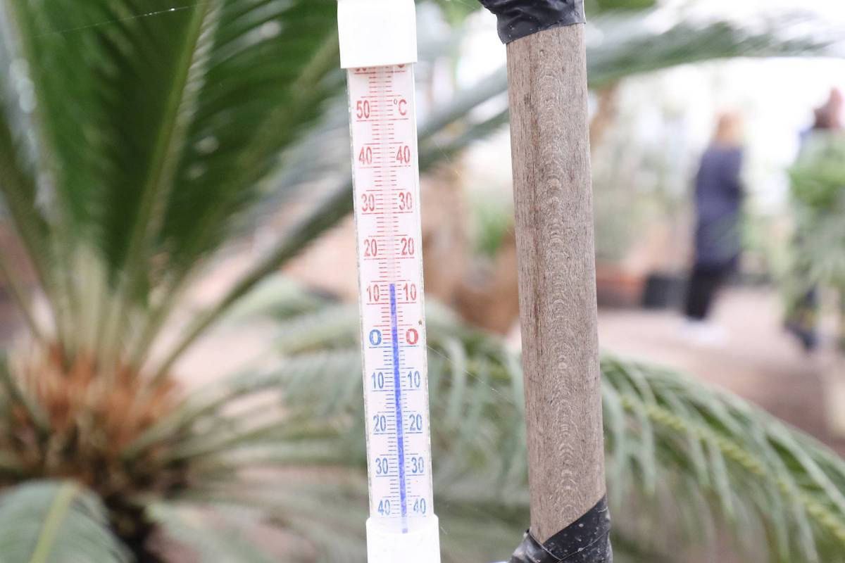 Temperatura w obiekcie nie dochodzi nawet do 15 st. C