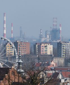 Ta branża zatrudnia w Polsce 3 mln osób. I prosi się o poważne problemy