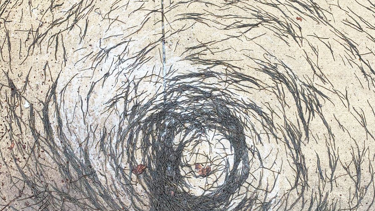 Na chodniku w Hoboken dżdżownice utworzyły kształt spirali