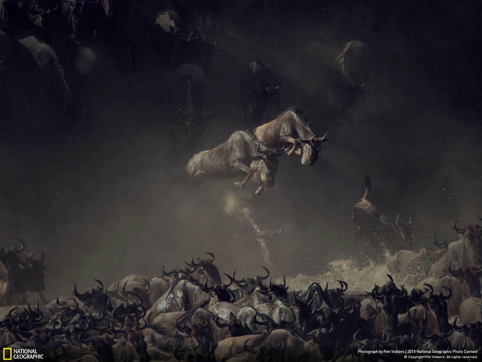 Cmentarzysko samochodów zwycięskim zdjęciem w Nat Geo Photo Contest 2018 4