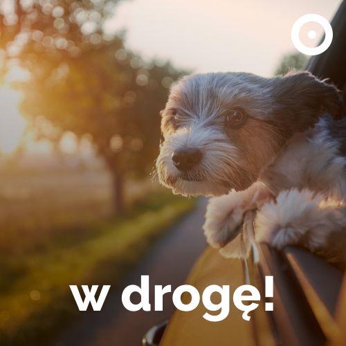 Logo stacji W Drogę!