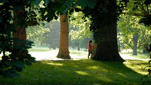 Czy spacer wśród drzew wspomaga radioterapię? 1