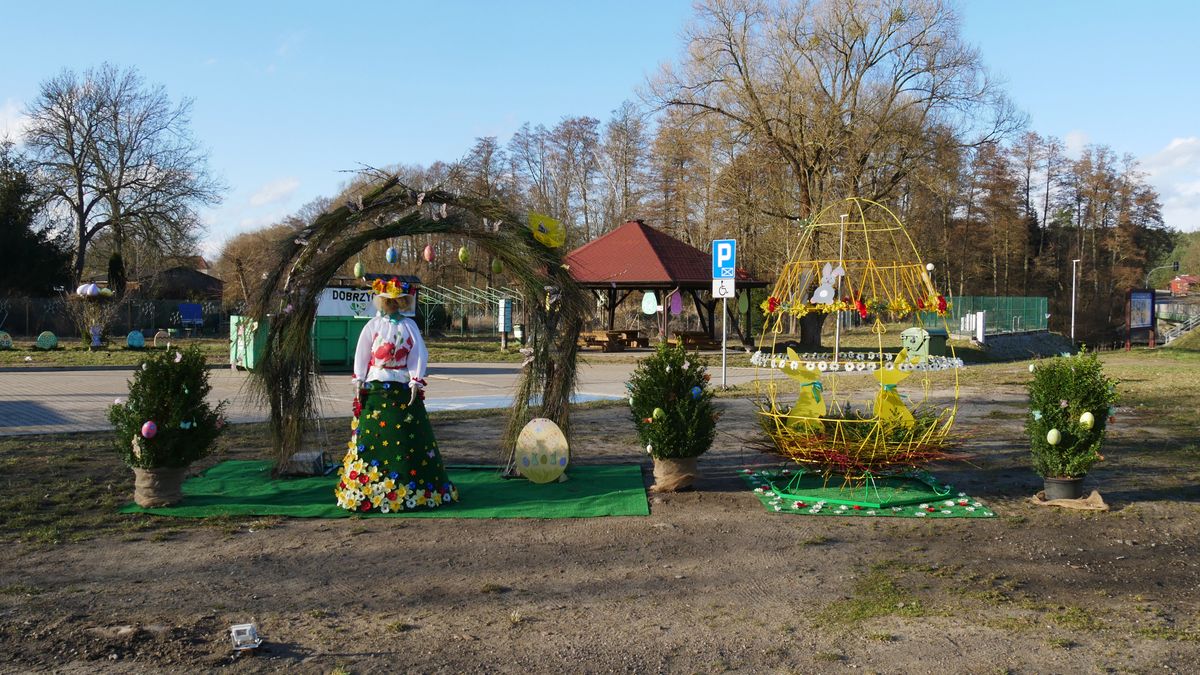 zdjęcie